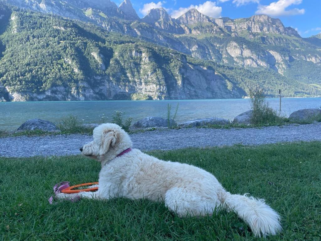Mols Doodle'S Amazing Chalet -Walensee - Flumserberg - Churfirsten - Heidiland - Pool - Sauna מראה חיצוני תמונה